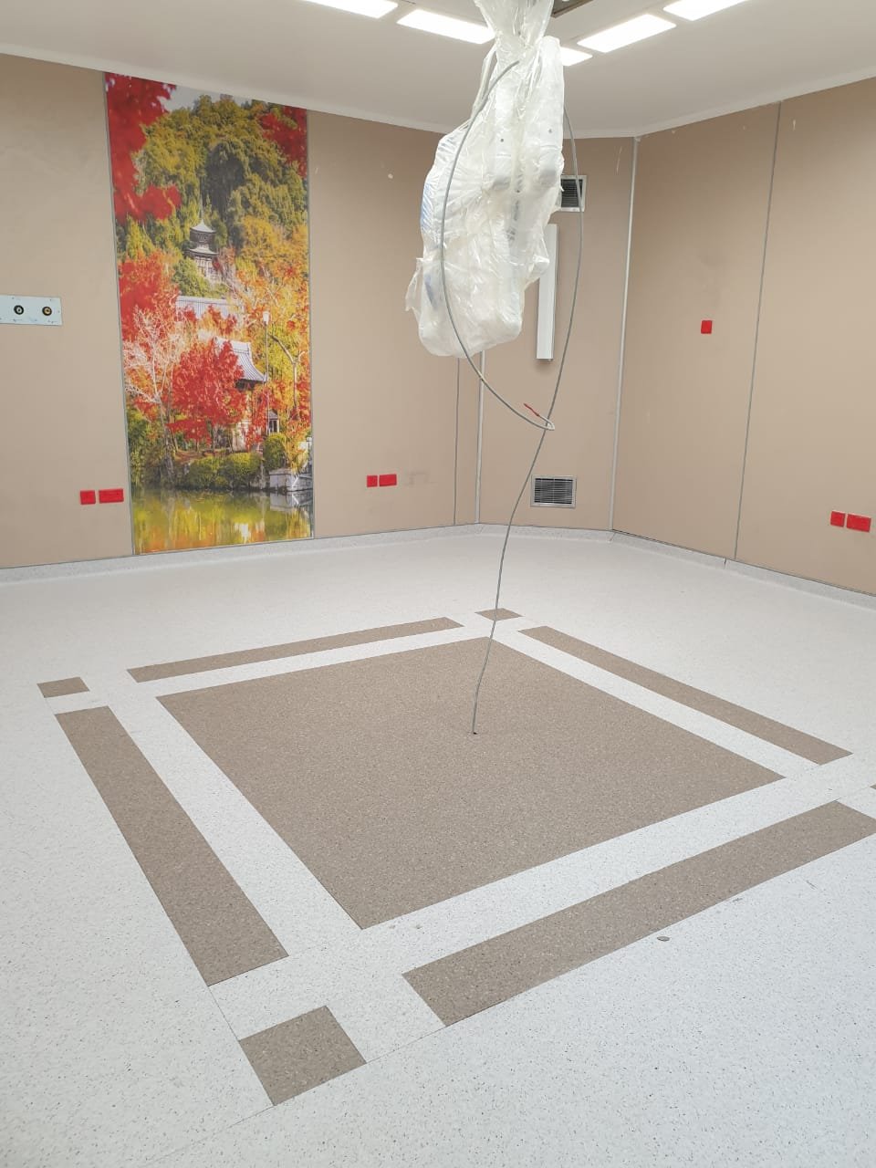 Home - Amir Flooring
